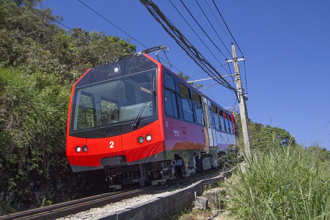 Half Day in Rio: Christ by Train, Maracanã, Cathedral & Selarón - Cosme Velho train: the forest ride is part of the experience