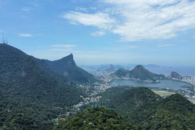 Half-Day Jeep Tour in Rio's Tijuca Rainforest and Scenic - Key Highlights to Know Before You Go