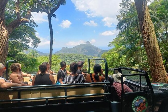 Half-Day Jeep Tour in Rio's Tijuca Rainforest and Scenic - Tijuca Rainforest by Jeep and Short Walks: The Big Picture