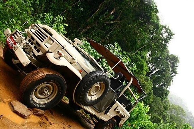 Half-Day Jeep Tour in Rio's Tijuca Rainforest and Scenic - 8:00 AM Pickup, South Rio Focus, and How the Morning Flows