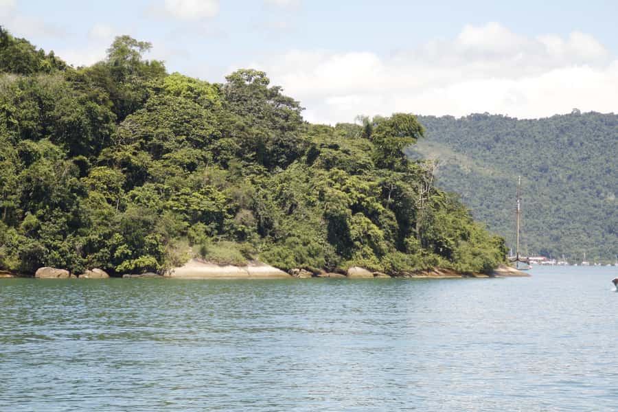 Half-Day Schooner Cruise and Snorkeling in Paraty Bay - Stop 1: Ilha Comprida, the fish aquarium moment