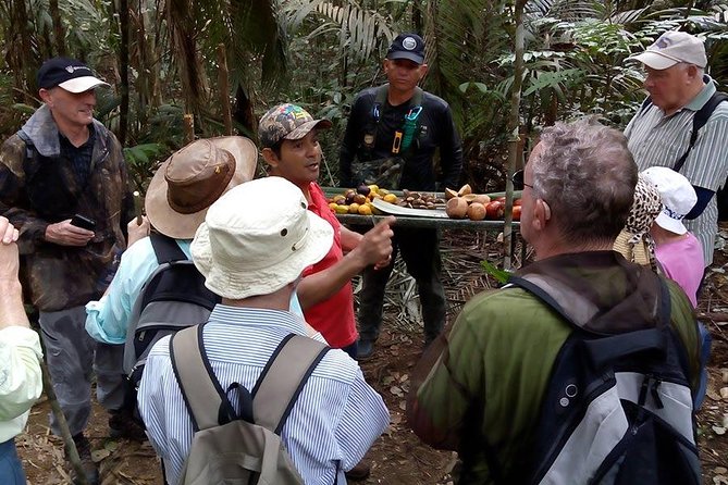 Half Day Tour- Jaguar Jungle Survival - Amazon Rainforest - From Manaus - Wildlife sightings: what your chances look like, and how to boost them