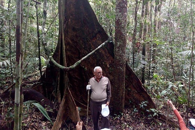 Half Day Tour- Jaguar Jungle Survival - Amazon Rainforest - From Manaus - The jungle hike reality check: shoes, insects, and sharp plants