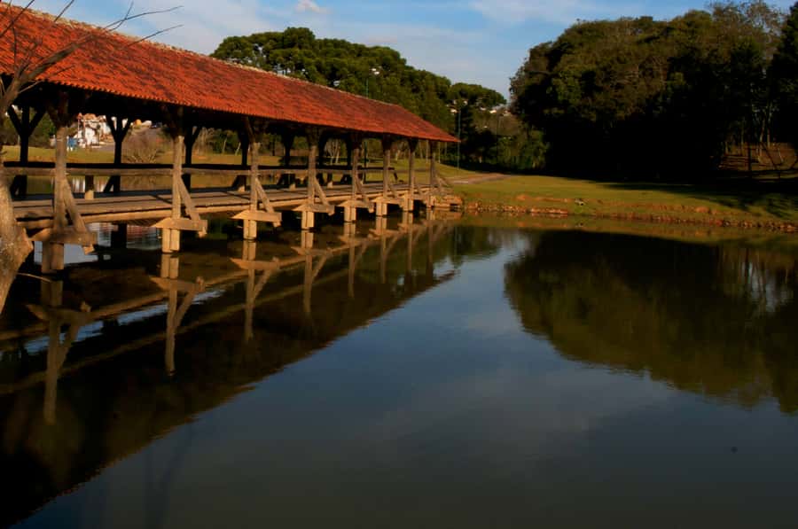 Half-Day Tour of Curitiba City - Tiradentes Square: your orientation stop