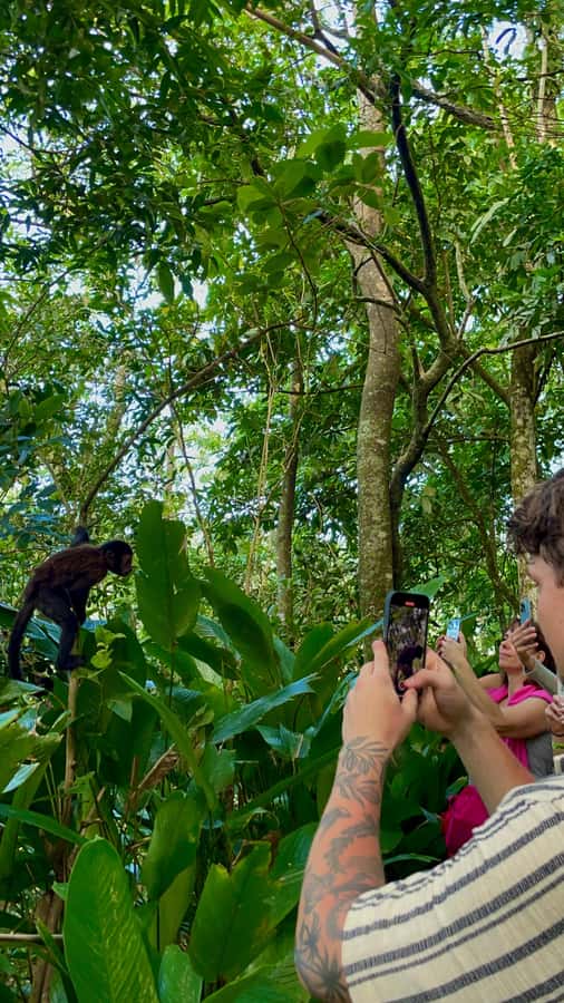 Hike Dois Irmãos + Vidigal Favela Experience - What to bring and what to skip on this Rio hike