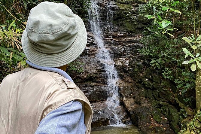 Hiking in the Tijuca Forest : Waterfalls and Caves - Waterfalls, the Bat Cave, and why insects are part of the deal