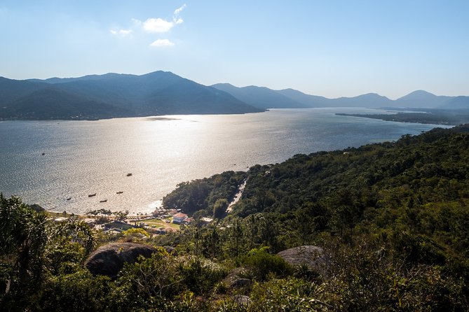 Historic Florianópolis Tour with Beach - Who This Florianópolis + Beach Day Trip Is Best For