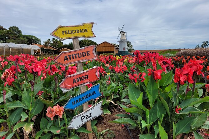 Holambra - The City of Flowers - Key highlights you’ll actually care about