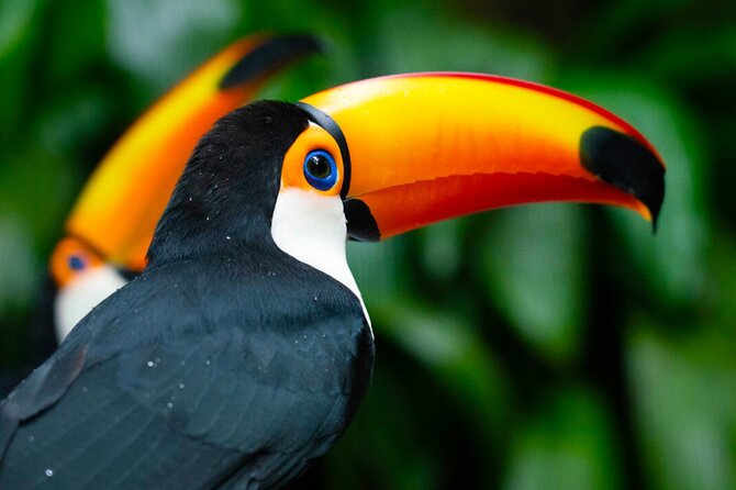 Iguaçu Bird and Waterfall Park - Price breakdown and whether it feels like good value