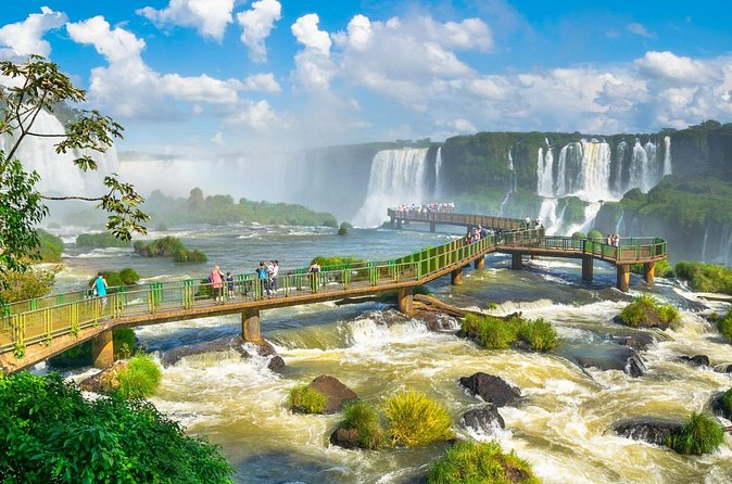 Iguaçu Bird and Waterfall Park - Guide and group size: what small numbers do for your experience