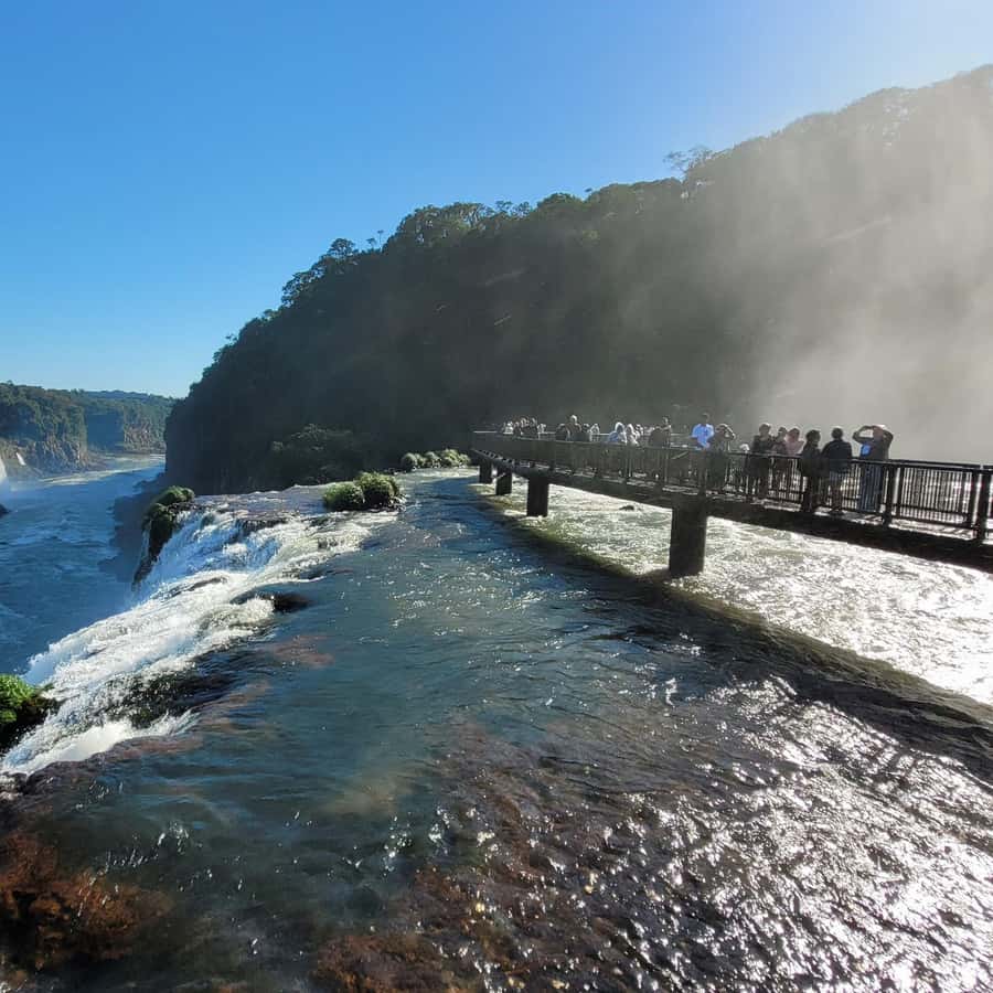 Iguassu Falls: Brazilian Side Private Tour - Optional Macuco Safari boat ride: the must-know wet details