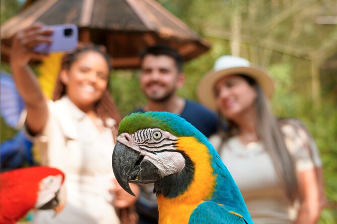 Iguassu Falls - Brazilian Side With Ticket - Timing, walking, and how to pace yourself