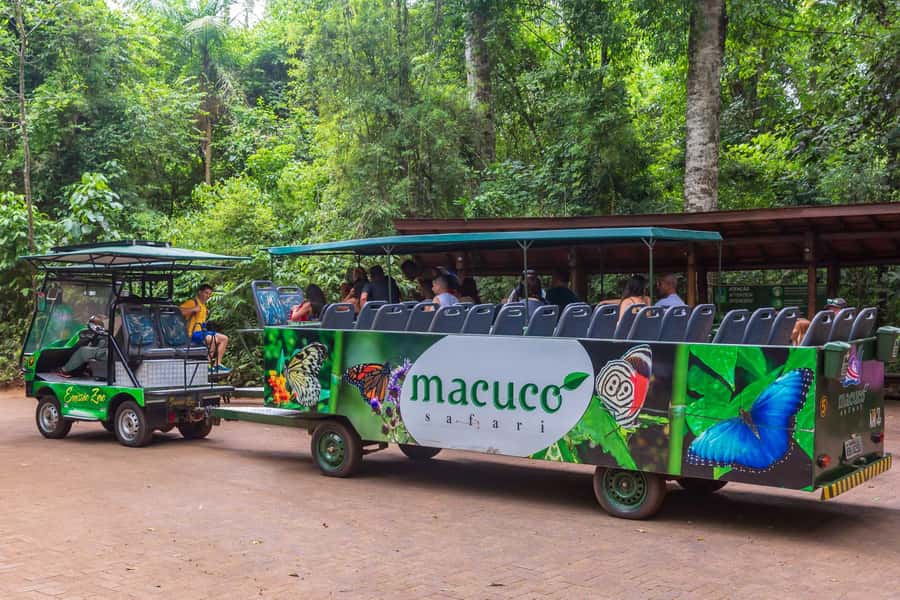 Iguassu Falls: Guided Tour & Macuco Safari on Pontoon Boats - Timing, pacing, and where waiting can show up