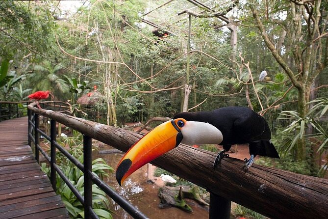 Iguassu Falls Private Tours - What guides like Roberto and Henrique do well in real terms