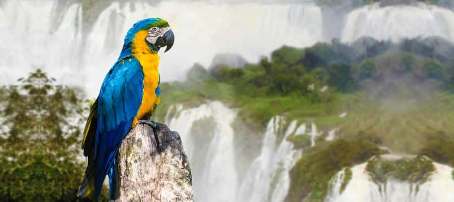 Iguazu Falls: 2-Day Argentinian and Brazilian Iguazu Falls - Optional Add-Ons: When You Want More Than the Main Circuits