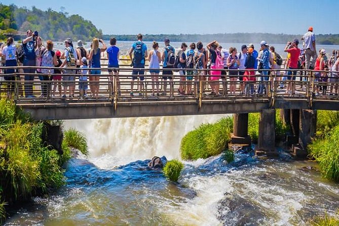 Iguazu Falls: Argentina and Brazil on the Same Day All Included - Argentina Side Morning: 7 km of Trails and Real Up-Close Waterfalls