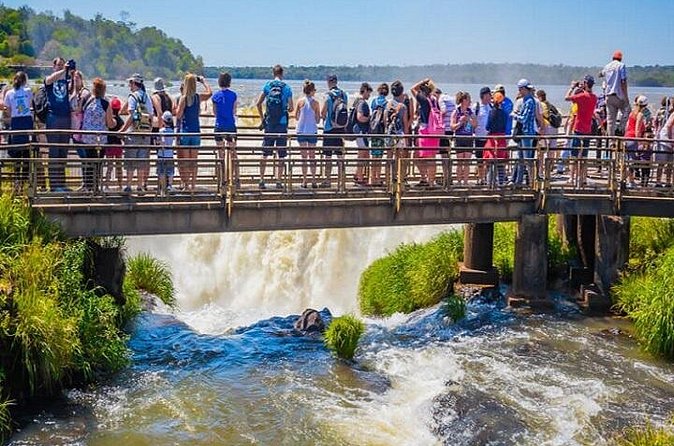 Iguazu Falls: Argentina and Brazil on the Same Day All Included - Admission Tickets Included, So You Pay for the Day, Not Just the View