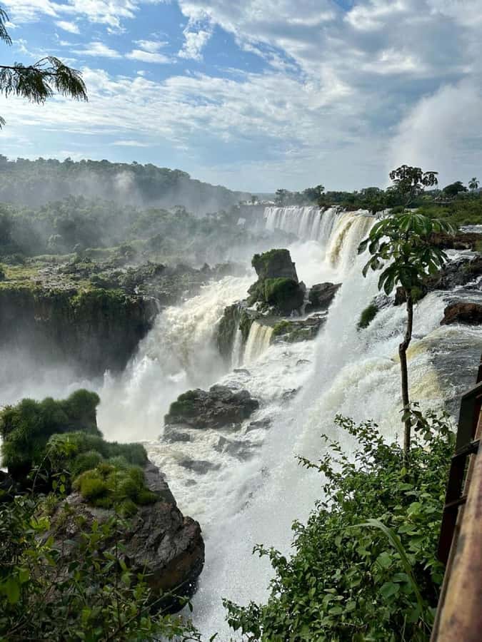 Iguazu Falls: Brazil & Argentina in One Day (Private) - The Optional Macuco Safari Stop: When to Say Yes