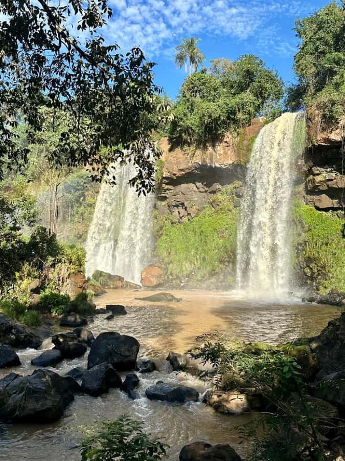 Iguazu Falls: Brazil & Argentina in One Day (Private) - Getting Picked Up and Moving Between Parks Without Stress