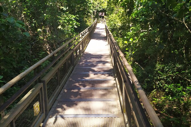 Iguazu Falls Private Tour: Two Countries in One Day - Price and Value, What $591 Per Group Really Buys