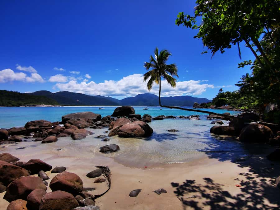 Ilha Grande: 360° Circumnavigation Speed Boat Tour - 8h - Key things that make this tour work