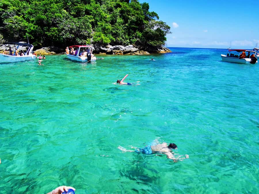 Ilha Grande: 6-Hour Speedboat Tour to Blue and Green Lagoons - Key highlights worth planning around