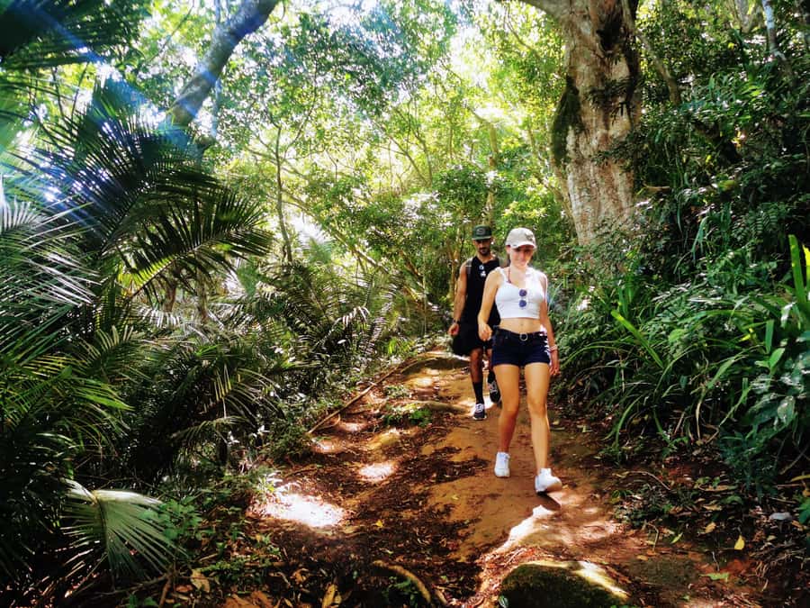 Ilha Grande: Lopes Mendes Private Hiking Tour - Key points to know before you go