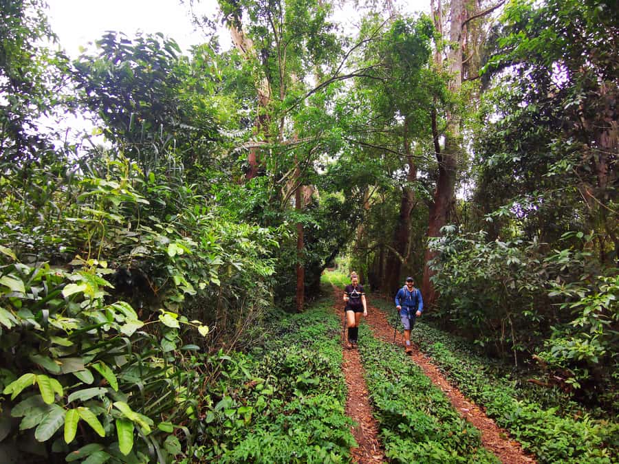 Ilha Grande: Lopes Mendes Private Hiking Tour - Lopes Mendes: the main reward for a full-day hike