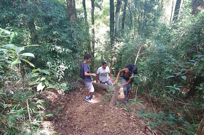 Ilha Grande: Pico do Papagaio - Private Hike - Sunrise or Daytime - Why Pico do Papagaio feels worth the effort on Ilha Grande