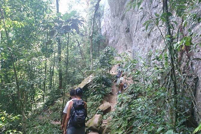 Ilha Grande: Pico do Papagaio - Private Hike - Sunrise or Daytime - Shoes, slippery trails, and other practical stuff that matters