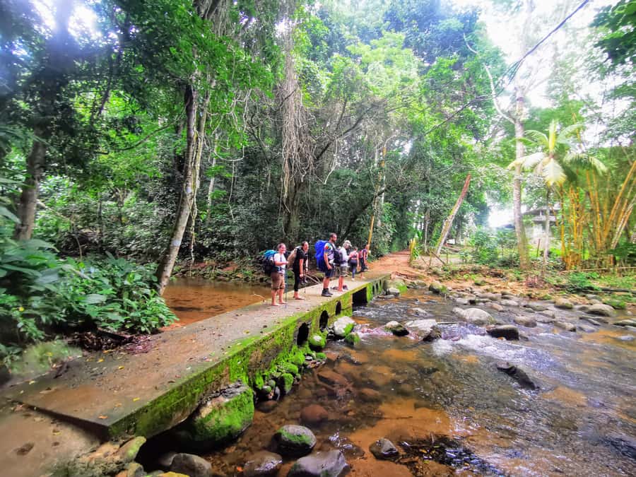 Ilha Grande: Private Hiking with Forest, Beaches & Waterfall - The historic walk segment: Praia Preta, Lazareto ruins, and the aqueduct arches