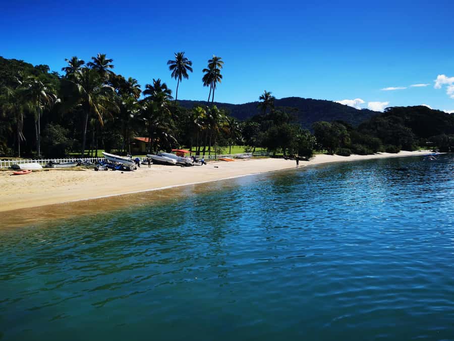 Ilha Grande: Private Hiking with Forest, Beaches & Waterfall - Feiticeira Waterfall: the 13-meter shower break