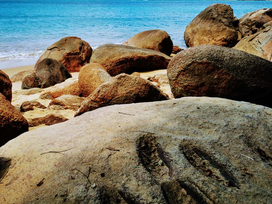 Ilha Grande: Private Historic Walking Tour with Natural Pool - Price and Value: Is $156 per Person Worth It?