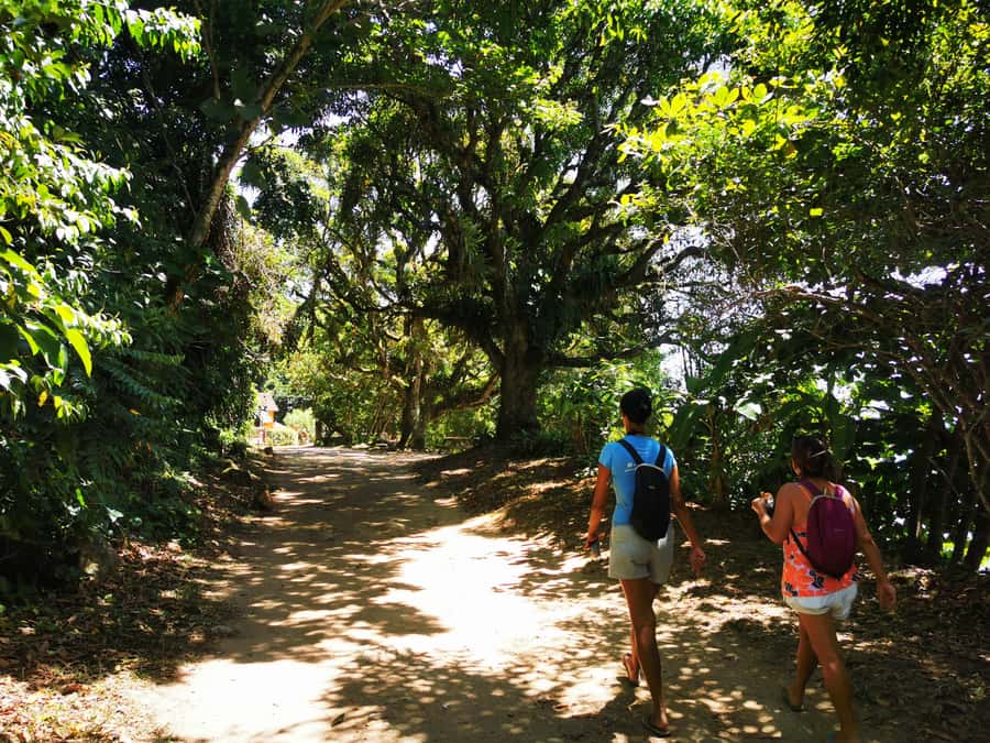 Ilha Grande: Private Historic Walking Tour with Natural Pool - What to Bring for Comfort (and to Avoid Small-Day Regrets)