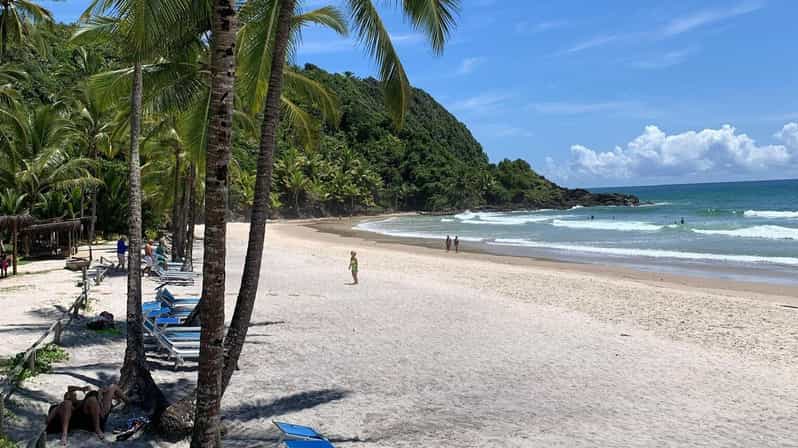Itacare: 4 Beaches Trail and Tijuipe Waterfall - Key things I’d plan around