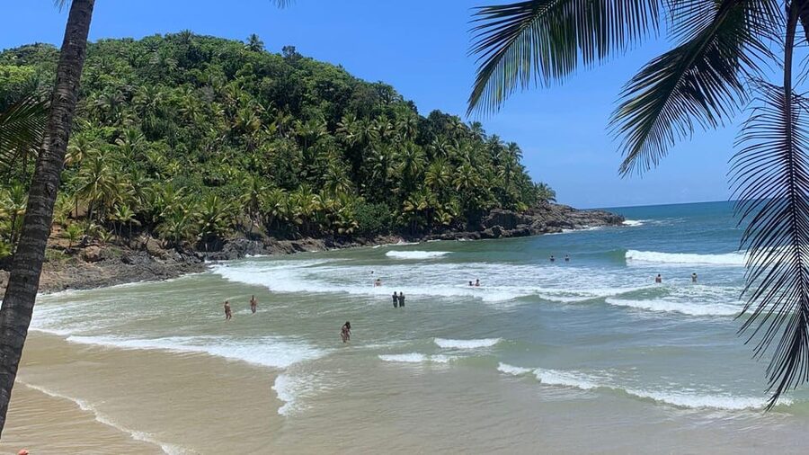 Itacare: 4 Beaches Trail and Tijuipe Waterfall - Stop 3: Engenhoca Beach where the river crosses the sand