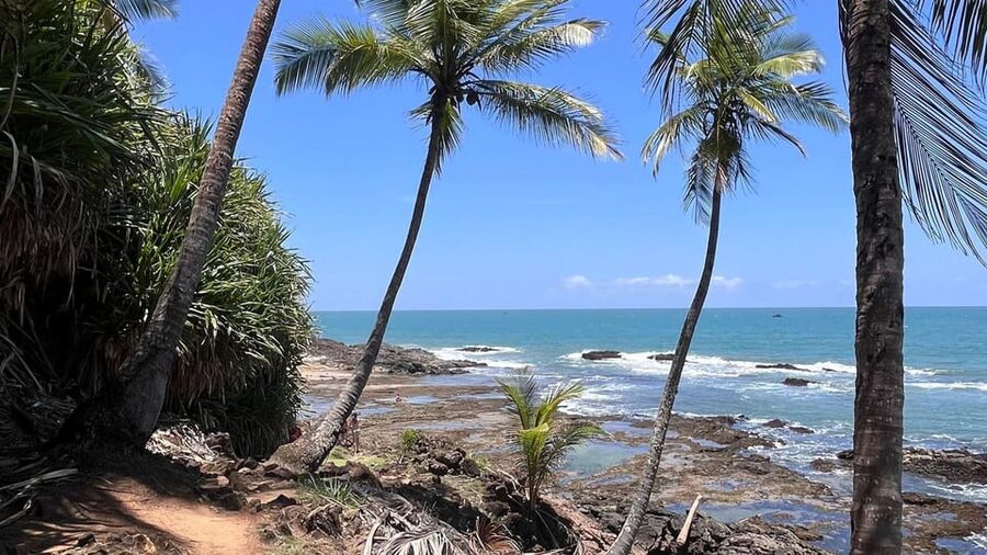 Itacare: Jeribucaçu Trail and Usina Waterfall - Jeribucaçu Beach: white sand, crystalline water, and swim choices