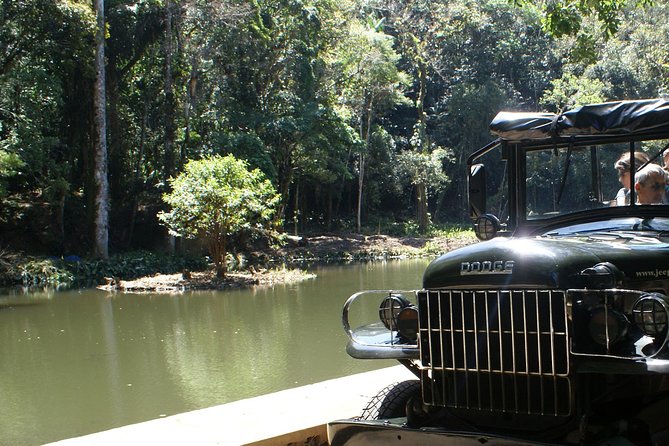Jeep Adventure: Guided Tour through Tijuca Rain Forest - Tijuca by Jeep, Right Where Rio Turns Into Rainforest