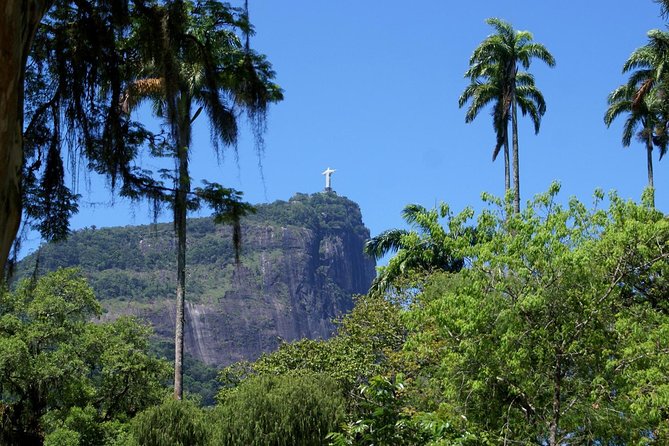 Jeep'n'Green: Rio Botanical Garden and Tijuca Rainforest Tour - Tijuca Rainforest Jeep Ride and Eco Hike: Real Green Right Off the Road