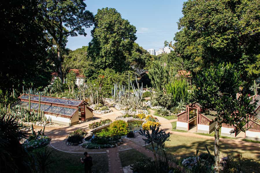Jeep'n'Green: Rio Botanical Garden & Tijuca Rainforest Tour - Eco-trek to Cachoeira dos Macacos: short, guided, and worth it