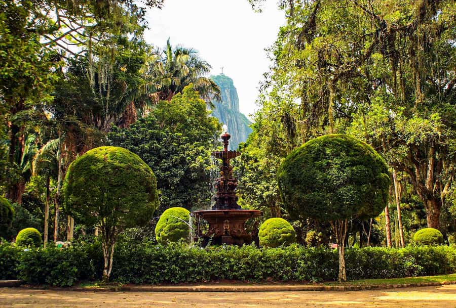 Jeep'n'Green: Rio Botanical Garden & Tijuca Rainforest Tour - Price and time: is $95 good value for what you get?
