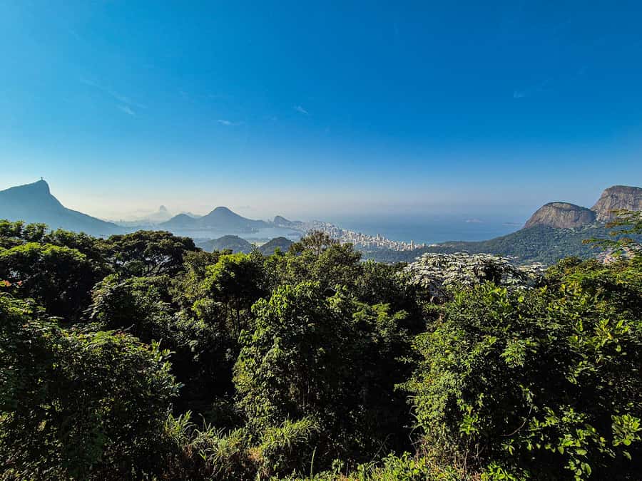 Jeep'n'Green: Rio Botanical Garden & Tijuca Rainforest Tour - Who should book Jeep’n’Green, and who should pass