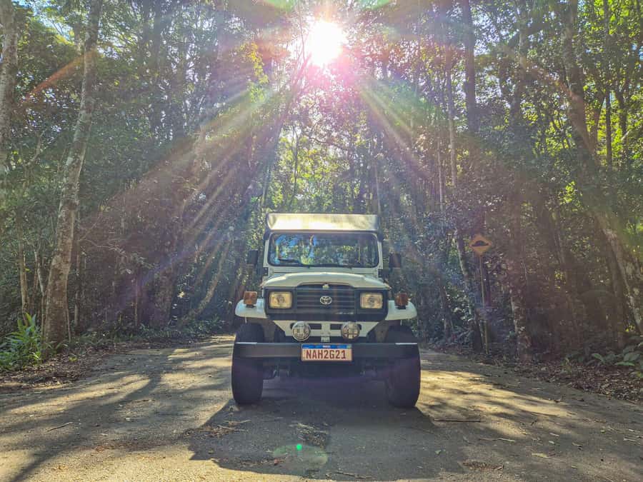 Jeep'n'Green: Rio Botanical Garden & Tijuca Rainforest Tour - Tijuca Atlantic Forest by Jeep: Emperor’s Table and Mayrink Chapel