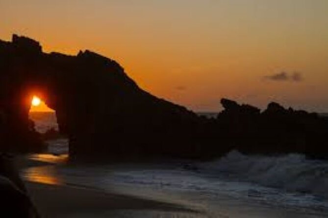 Jericoacoara East Paseo and Accommodation with Pool - Tree of the Preguiça: the quick stop that can matter for photos