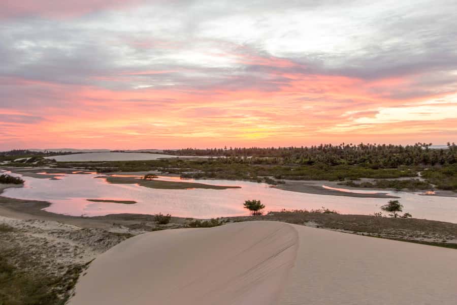 Jericoacoara: Tatajuba Beach Tour - Rio Guriú and the APA angle: scenery with an environmental purpose