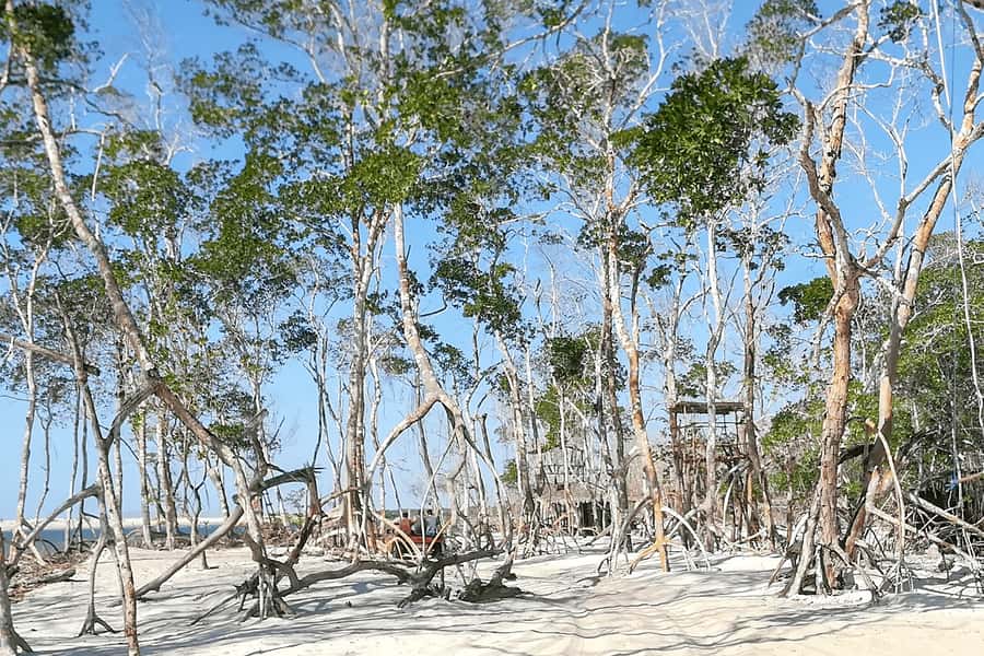 Jericoacoara: Tatajuba Beach Tour - Price and value: $16 for transport, ferry, and a full 6-hour nature day