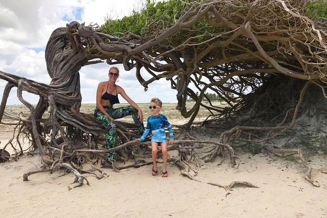 Jericoacoara Tour in 1 Day - Stop 3: Arvore da Preguica for quick photos, then back on the road