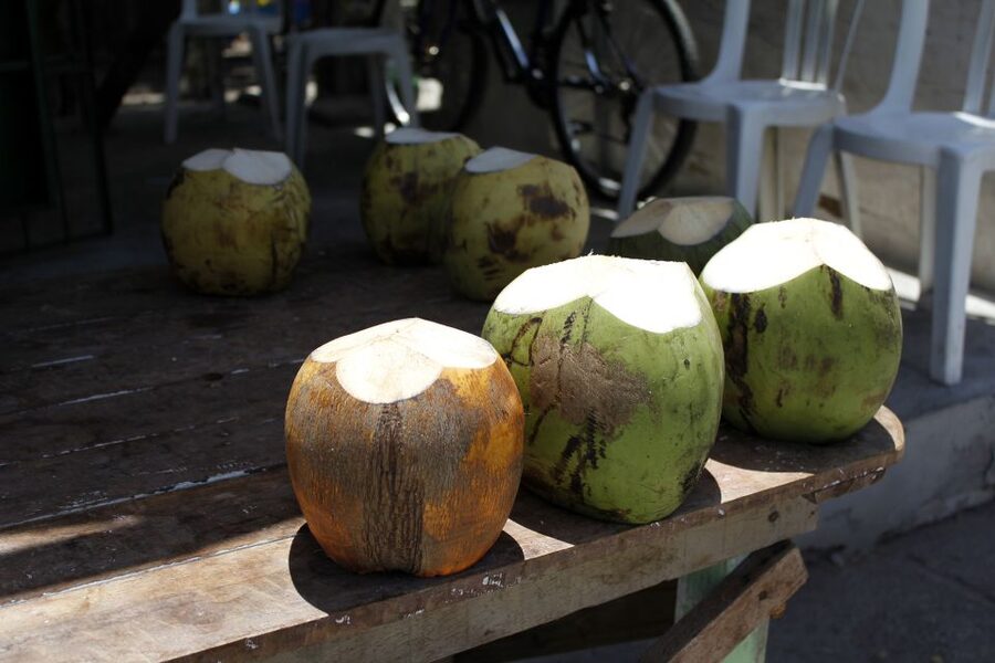 Joao Pessoa City Tour - Paraíba Craft Market: souvenirs that feel local, not random
