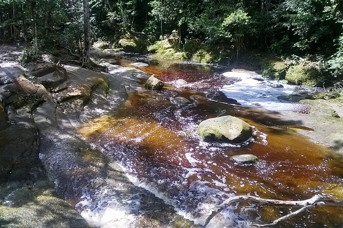 Jungle Walk with Caves and Waterfalls, Amazon Private Day Tour - The Real Value of Paying $220 in Manaus