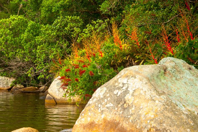 Kayak Water Trail in Red River Park by Adrenailha - Lagoa da Conceição: why this basin section is the centerpiece